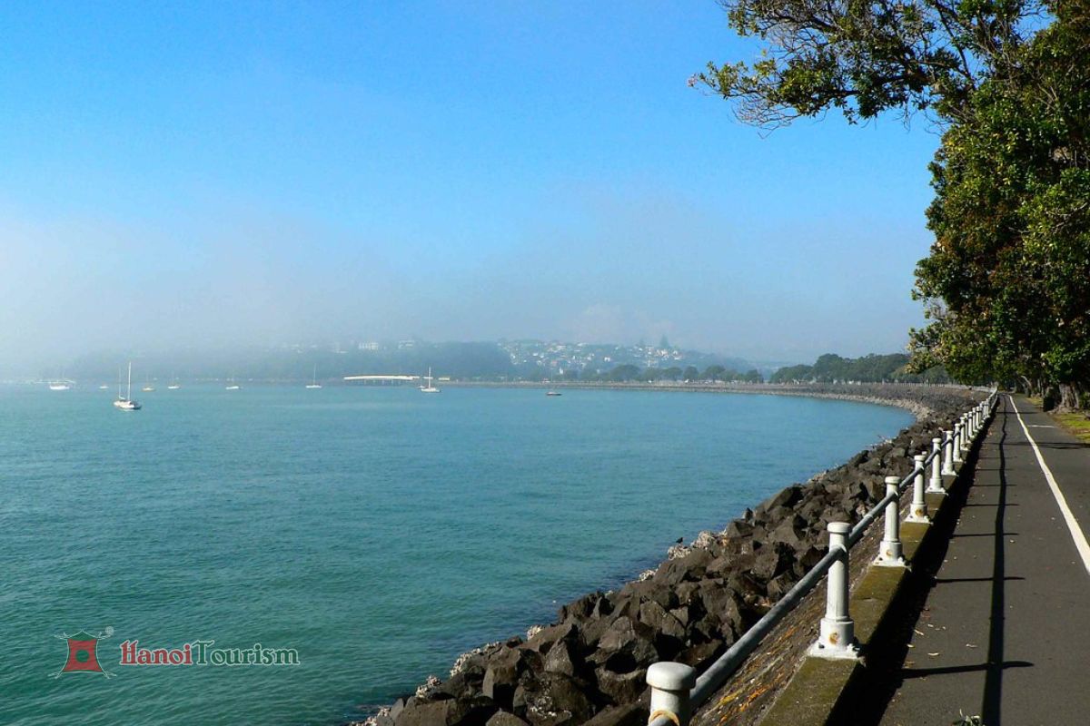Tamaki Waterfront Drive - Auckland - New Zealand