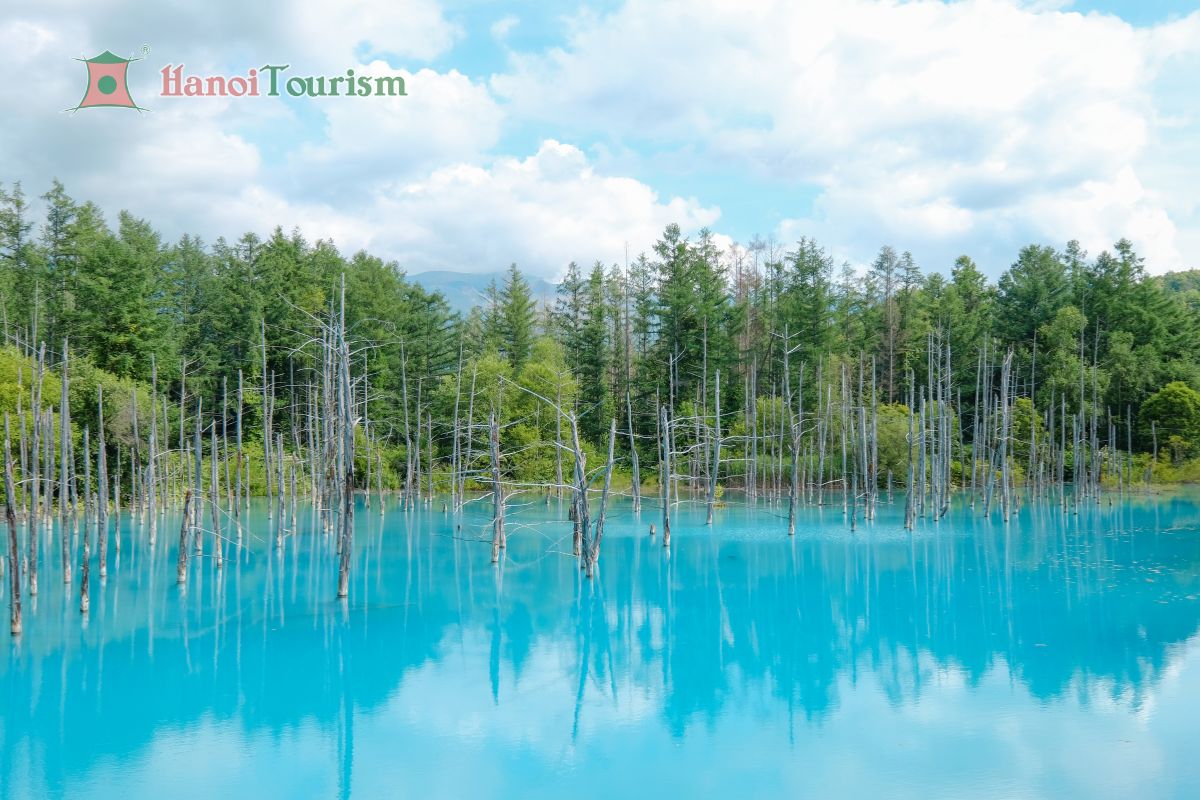 Hồ Ngọc Bích (Blue Pond) - Nhật Bản