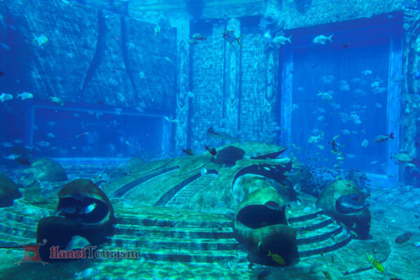 Thủy cung Atlantis - Hải Nam - Trung Quốc 2