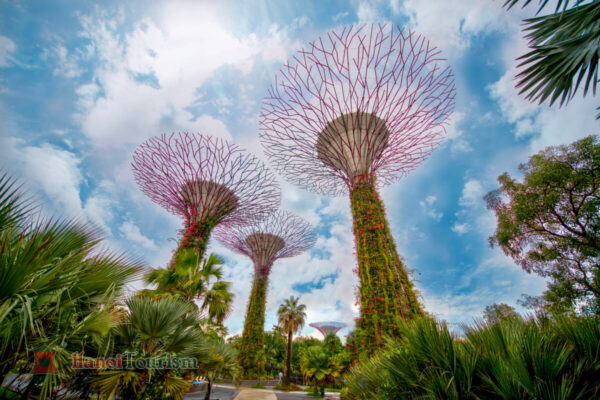 Garden By the Bay - Thái Lan