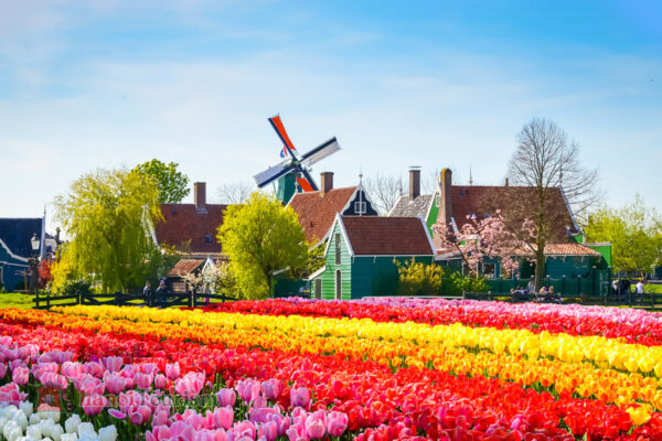 Lễ hội hoa Keukenhof