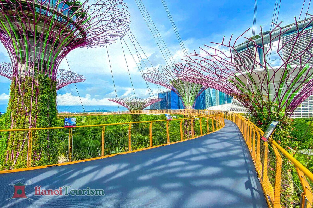 Tour Singapore - Malaysia (2 trong 1) - Bay Vietnam Airlines - Từ Hà Nội - Ảnh 13
