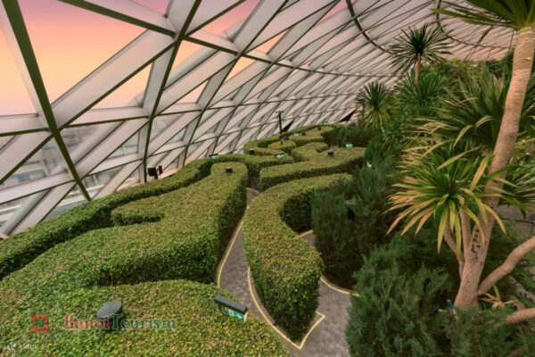 vườn mê cung Hedge Maze