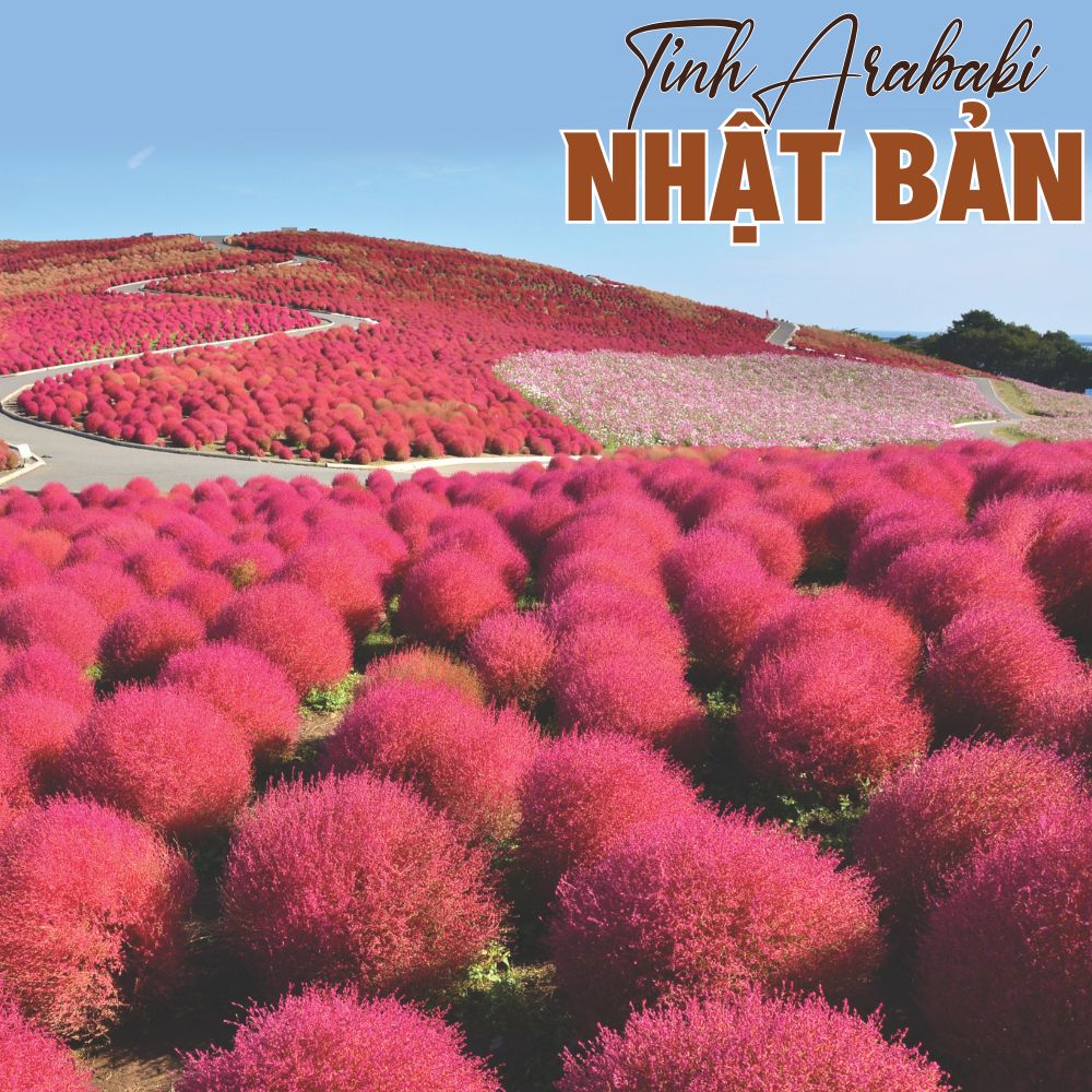Arabaki - Nhật Bản