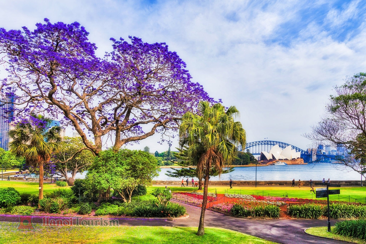 Botanic Gardens – Sydney – Úc