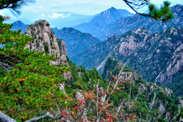 Núi Hoàng Sơn - An Huy - Trung Quốc