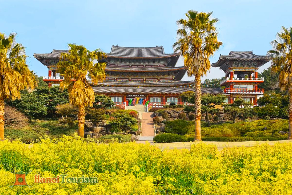 Chùa Yakcheonsa - Đảo Jeju - Hàn Quốc