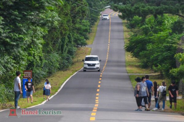 Con đường Kỳ Bí (Mysterious Road) - Đảo Jeju - Hàn Quốc