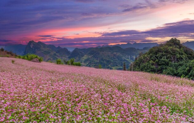 Hà Giang - ảnh Phan Nguyên